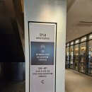 209 | 엘리자베스 랭그리터 전시 매일이 휴가 MUSEUM209 관람 후기