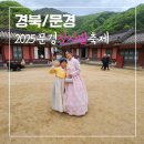다례분식 | [경북/문경]2025년 5월 문경찻사발 축제 일정 체험행사 후기 아이와가볼만한곳
