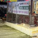 스테이태봉 이미지