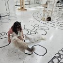 그루밍친친 이미지