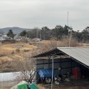 성당농업협동조합 티스토리