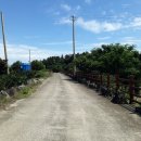 강정동-8 이미지