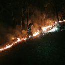 우면산3-17 이미지