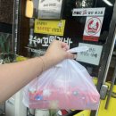 콩숙이꼬마김밥본점 | 수완지구 분식 맛집 꼬마김밥 맛집 '콩숙이 꼬마김밥 본점 '