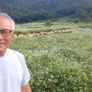 소설가구