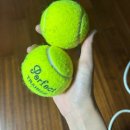 민 피티랩 | 미리 보는 하반기👀