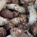 위경화농장 이미지