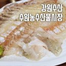 수원-1542 | [수원농수산물시장, 강원수산] 쫄깃하고 싱싱한 활어회 맛집