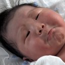 윤성꽃집 | 3월은여