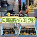 여수 이순신광장 먹거리 추천 바다김밥 갓참치김밥, 여수당 쑥아이스크림 먹었어요
