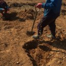 재철농장 이미지