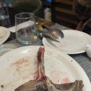 스테이서귀02 이미지