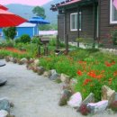 채석강민박 이미지