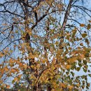 반월공원 이미지