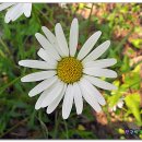 달서노인종합복지관 이미지