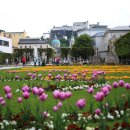 미라벨(MIRABELL) 이미지