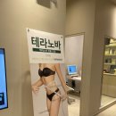 케어셀라청주