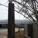 옥천리 당간지주 이미지