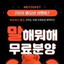 미유펫강아지분양고양이분양
