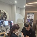 부곡로 | 부산2차동물병원 고양이 안구적출 수술 후기