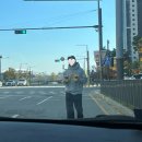 주원농장 | [노섬브리아 캠핑장] 캐러비안 사이트 2박3일 고양이들이랑 숙식하기