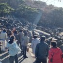 삼랑진권 투어 이미지