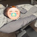 두리랑 | 트립트랩 유아의자 당근, 뉴본 사용 후기!(feat. 두리랑은 안 맞는 듯...?)