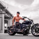 와일드짐 이미지