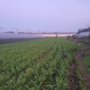 한약먹은추어탕 이미지