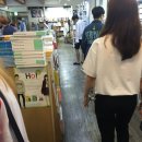 엘스타 이미지