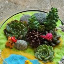 책상 위의 작은 정원, 테라리움 만들기 | 청주 테라리움 만들기 원데이 클래스｜그린핑거스 식물체험 힐링 프로그램 후기