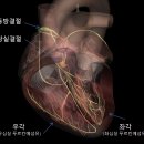 노아한의원 이미지
