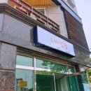 디어멍멍 이미지