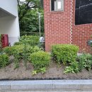 우정님께 칭찬을 받으려고 이미지