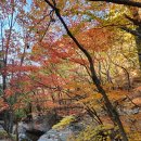 주왕산 단풍산행~ 이미지