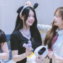 하연 이미지