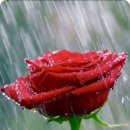 행복한날 이미지