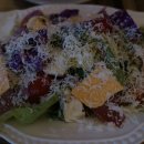 블루시티트리가 이미지