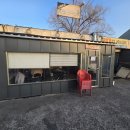 뚝방삼지창 | 대구 갈매기살 맛집 뚝방 삼지창 방문 후기