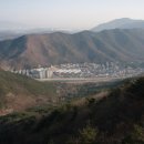 용두골 Daum카페