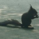 우곡마을입구 이미지