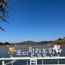 갈밭농장 | 대구근교아이랑갈만한곳 포니힐링농원 승마체험 후기