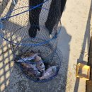 하늘바다낚시터 이미지