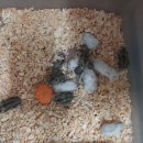 도봉-도봉-서울도봉-2286 이미지