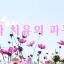 프로게스테론 카드의 기적 이미지