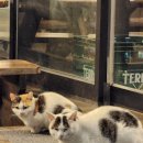 백세건강한약국 이미지