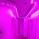 장미 노래연습장 이미지