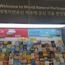 호텔스카이파크제주 이미지