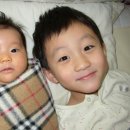 준영농장 이미지