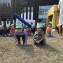 은준 Daum카페
